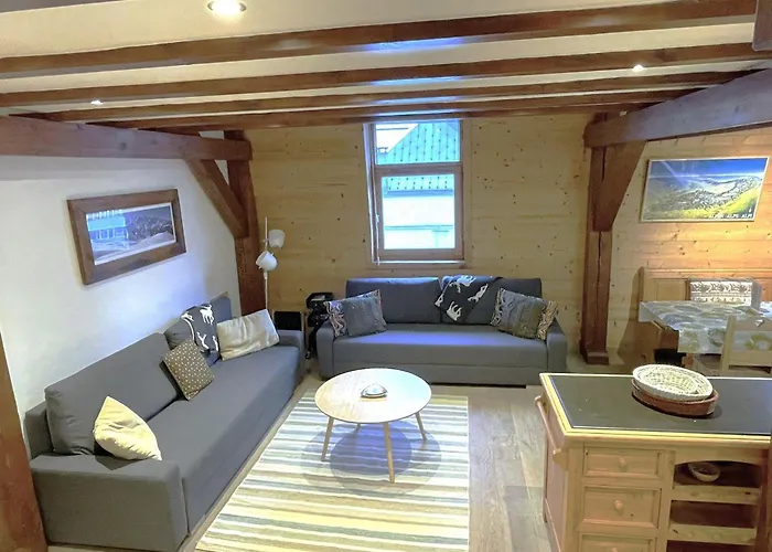 Apartment Duplex Centre Pour 6 Avec Parking Et Wifi - Fr-1-343-240